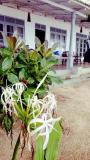 Rankaty Residence - 1