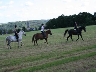 Pferd - Spaß - Entspannung - Staitz - 9