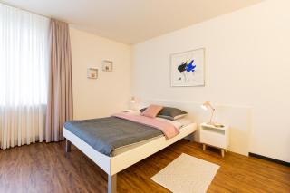 Apartmenthaus zum Trillen Basel City Center - Basilea - 1