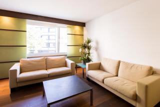 Apartmenthaus zum Trillen Basel City Center - Basilea - 7