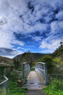 Selah Cottage, 21 Queen Street - Pont-rhyd-y-fen - 9