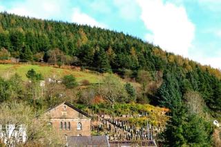 Selah Cottage, 21 Queen Street - Pont-rhyd-y-fen - 8