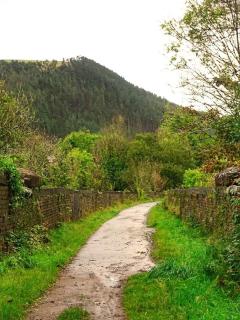 Selah Cottage, 21 Queen Street - Pont-rhyd-y-fen - 5