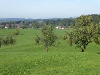 Landhof Zitzler - 1