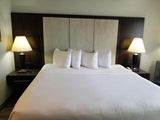Wyndham Garden Hotel - Jacksonville - Jacksonville - 4