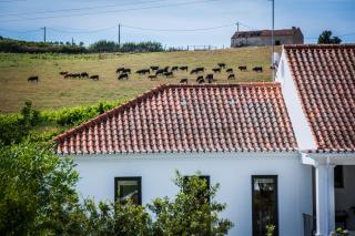 CAMBEIROS - Guest House - Alenquer - 4