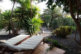 Casa Panama,in der Finca Mimosa - Teguise - 7