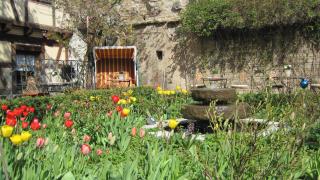 Hotel Gerberhaus - 1