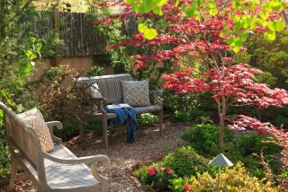 El Farolito B&B Inn - Santa Fe - 8