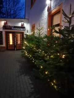 Pension und Restaurant Die Burg - Ehrenfriedersdorf - 3