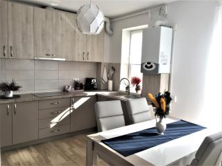 Luxury Mountain View Apartment - Brasov - 0