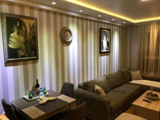 VIP Apartman KIKA Zlatibor - Zlatibor - 8