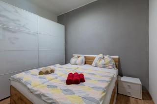 Sunny renovated Apartment close to downtown - 1