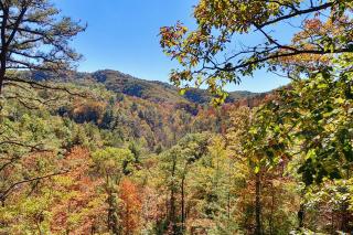 Wild Willow - Sevierville - 9