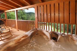 Blue Mist - Sevierville - 9