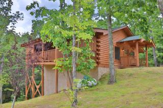 Blue Mist - Sevierville - 8