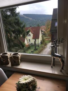 Ferienwohnung Fuchsbau - Hahnenklee-Bockswiese - 6