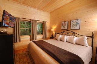 Secret Hideaway - Sevierville - 1
