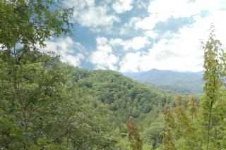 Smoky Mountain Majesty - Sevierville - 7