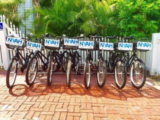 Nyah - Adult Exclusive - Key West - 3
