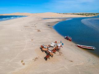 Aparts Dunas de Valizas - Barra de Valizas - 1