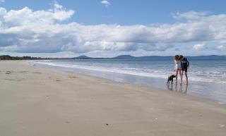 Nine Mile Escape - Swansea - 8