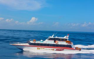 D'Camel Hotel Lembongan - 8