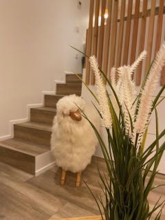 Le Mouton à 5 Pattes Aubagne-Cassis-Aix en Provence - 0