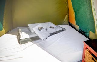 Maggie May House Boat - Colchester - 5km from Elephant Park - Colchester - 1