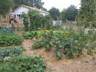 La Folie - Breuil-Barret - 5