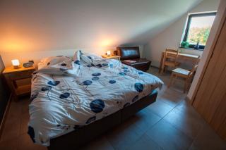 B&B D'Hollehoeve - Heist-op-den-Berg - 8
