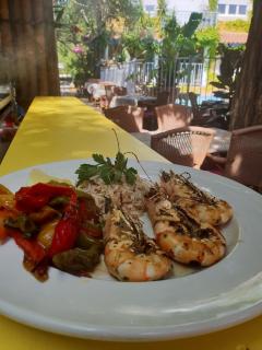 Le Mas de la Frigoulette - Sanary-sur-Mer - 9
