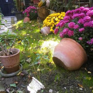Tania's Home - Tbilisi - 7