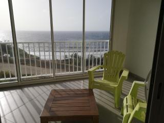 Joli studio climatisé avec grande terrasse, très belle vue océan, très calme, plages à proximité, aucun vis-à-vis - 0