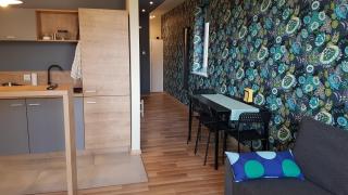 MJ Apartament Kamienna Wisła - Wisła - 3
