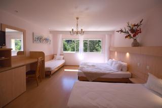 Hotel Arena le Refuge - Corte - 8