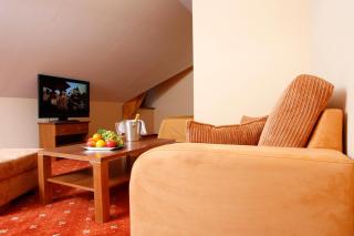 Hotel Majolika - Modra - 8