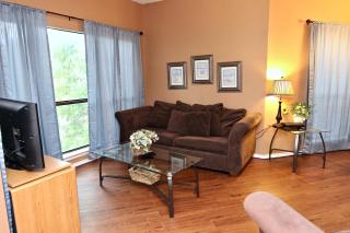 Comal River Retreat - New Braunfels - 4