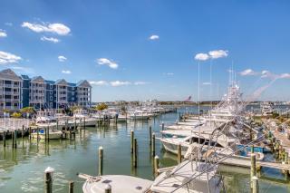 White Marlin - Ocean City - 3
