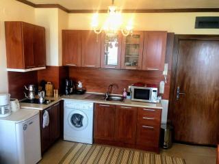 St Ivan Bansko Residence - 1BDS Suite Panoramic Mountain View - 1