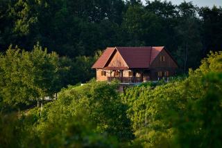 Green silence - Bedenica - 6