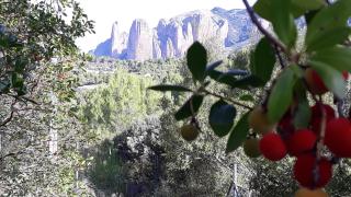 Despertar en Riglos - Las Peñas de Riglos - 7