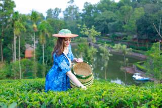 Saj Vagamon Hideout - Vagamon - 7