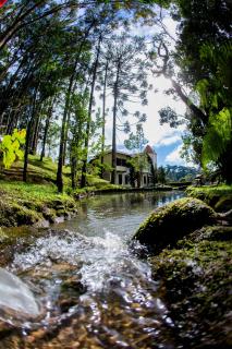 Pousada Vida Verde - Gonçalves - 6