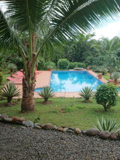 Residence Las Lajas - Las Lajas - 9