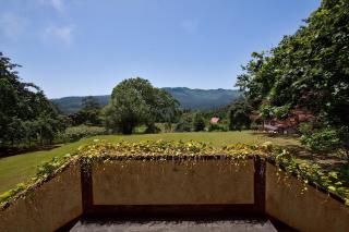 Quinta das Colmeias - Santo António da Serra - 9
