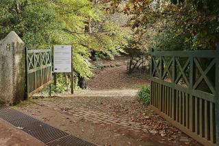 Quinta das Colmeias - Santo António da Serra - 8