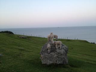 Beach Break Escape 226 - 5