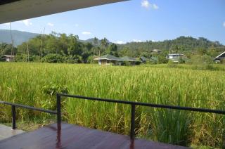 Nok Chan Mee Na - Chom Thong - 2