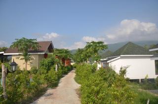 Nok Chan Mee Na - Chom Thong - 1